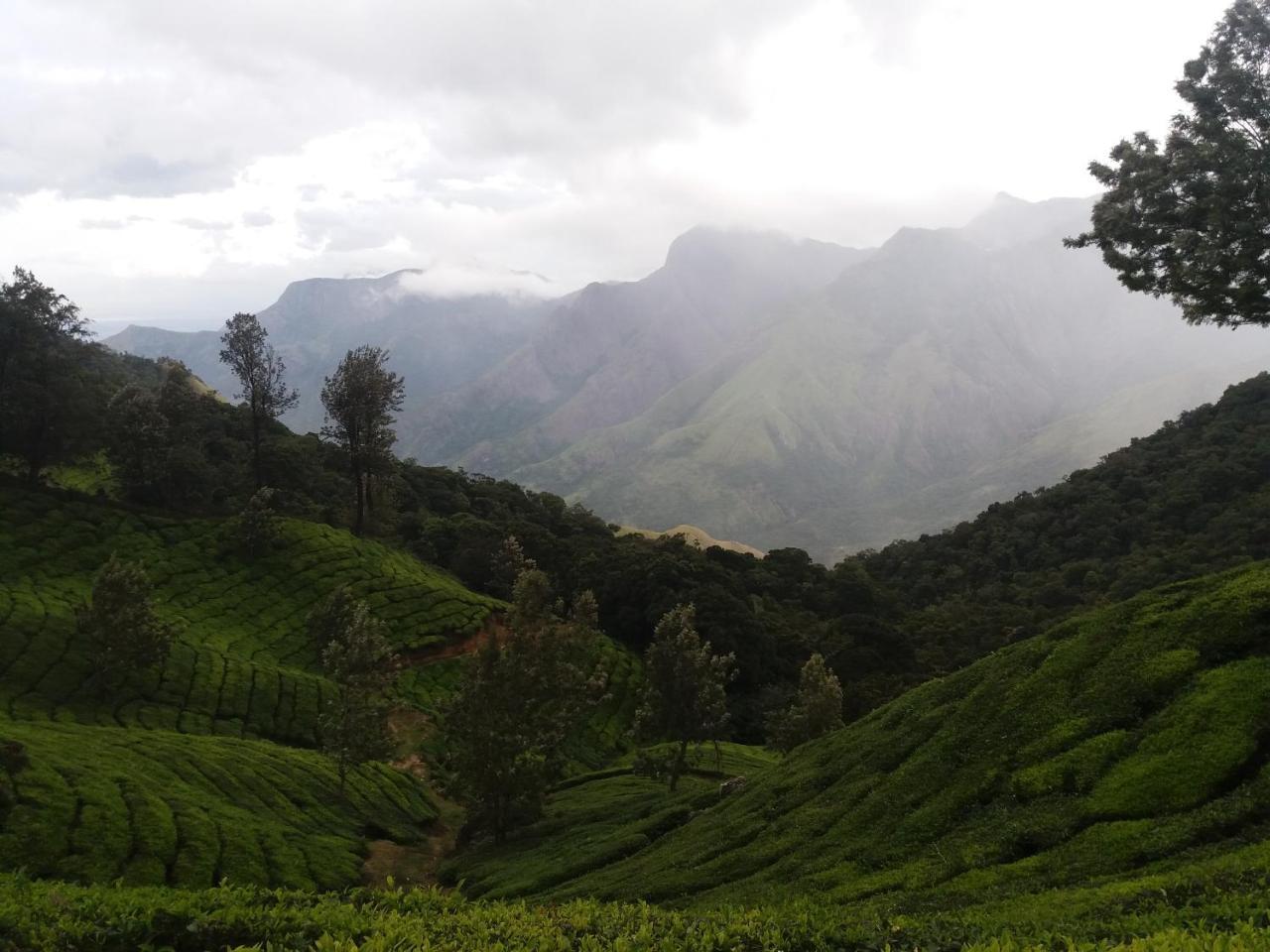 Monsoon Grande Ξενοδοχείο Munnar Εξωτερικό φωτογραφία