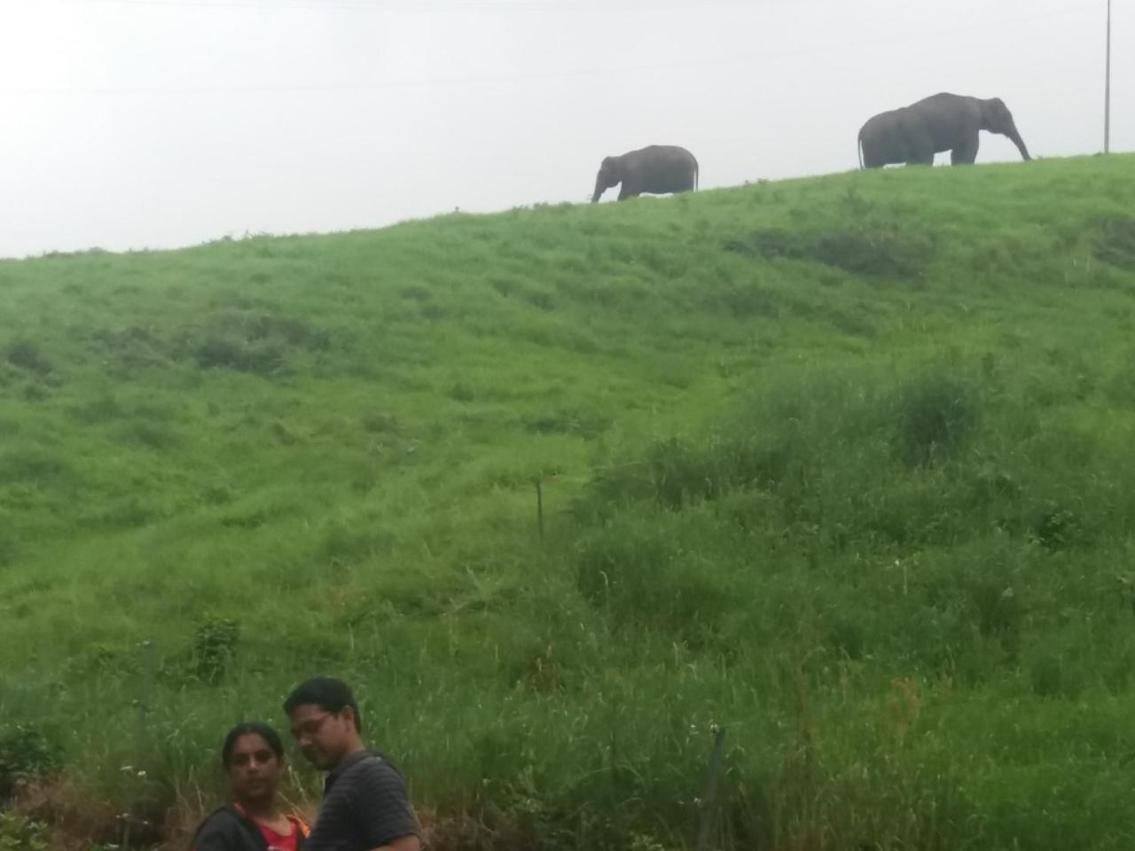 Monsoon Grande Ξενοδοχείο Munnar Εξωτερικό φωτογραφία