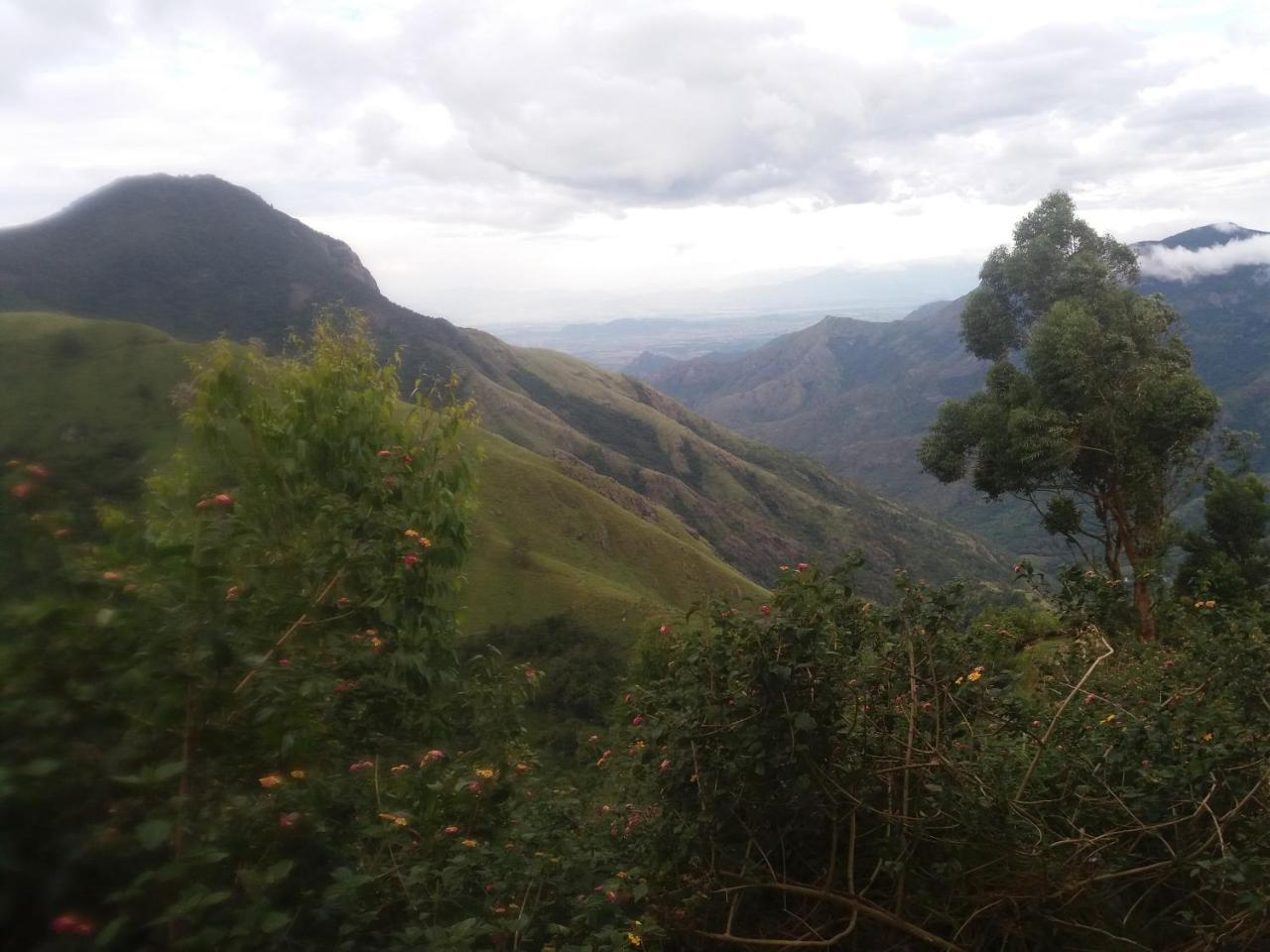 Monsoon Grande Ξενοδοχείο Munnar Εξωτερικό φωτογραφία